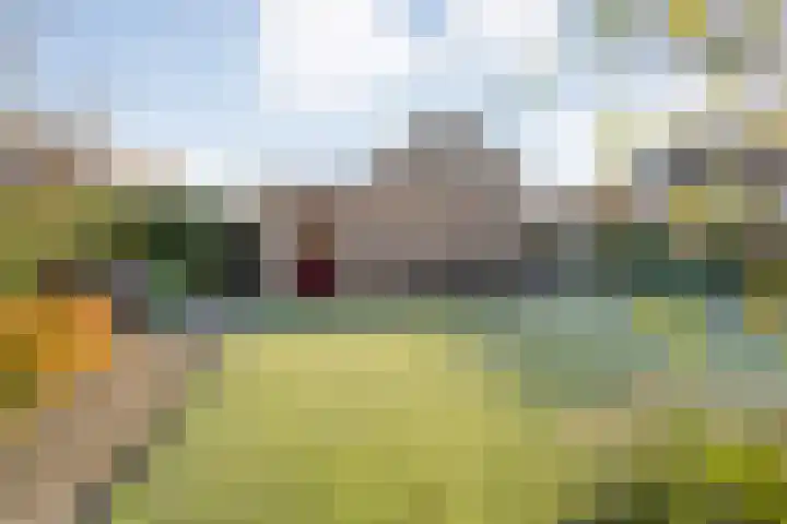 Dennenlaan 9 Havelte thumbnail 38