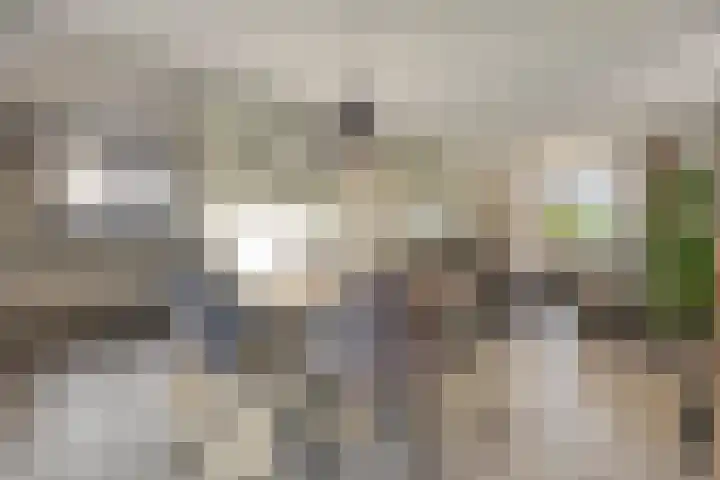 Dennenlaan 9 Havelte thumbnail 4