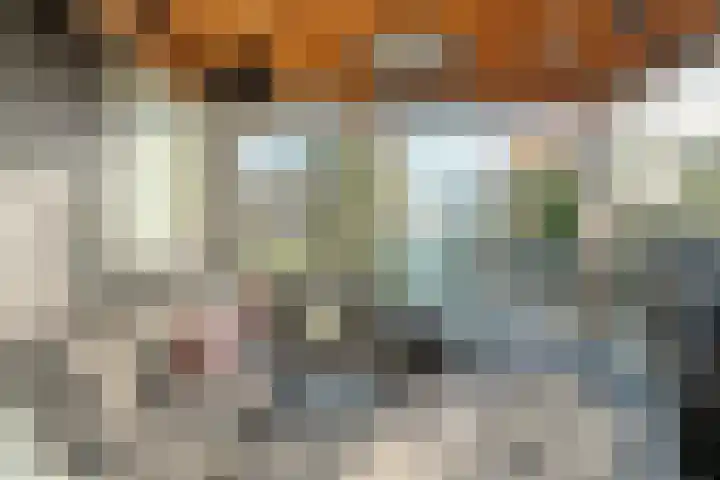 Dennenlaan 9 Havelte thumbnail 41