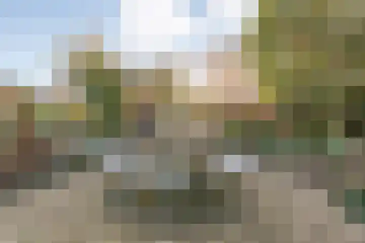 Dennenlaan 9 Havelte thumbnail 42