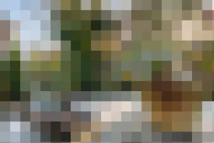 Dennenlaan 9 Havelte thumbnail 43