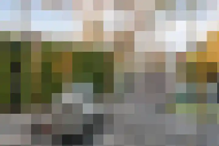 Dennenlaan 9 Havelte thumbnail 45