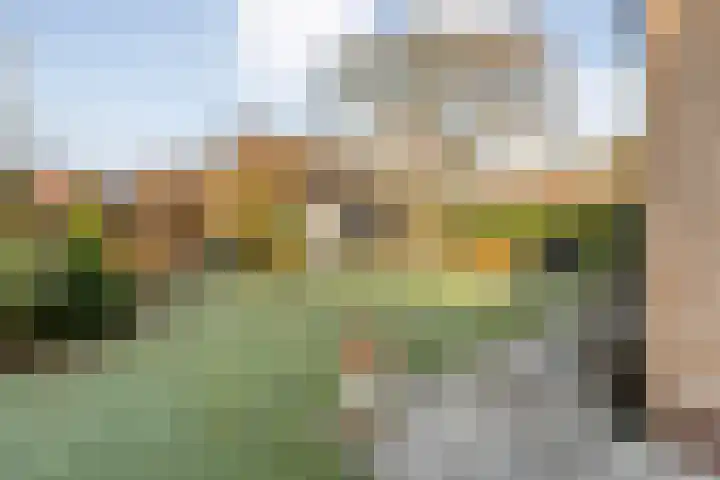 Dennenlaan 9 Havelte thumbnail 46