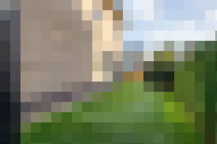 Dennenlaan 9 Havelte thumbnail 47