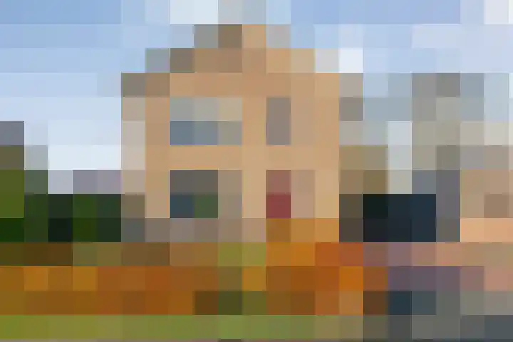 Dennenlaan 9 Havelte thumbnail 50