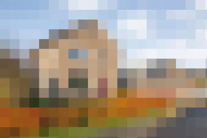Dennenlaan 9 Havelte thumbnail 51