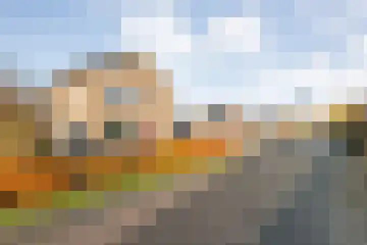 Dennenlaan 9 Havelte thumbnail 52