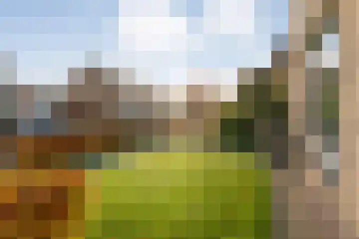 Dennenlaan 9 Havelte thumbnail 54