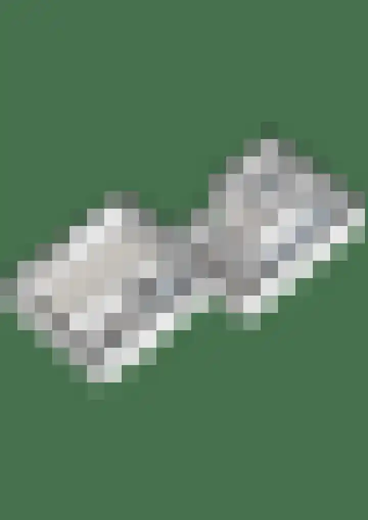 Dennenlaan 9 Havelte thumbnail 56