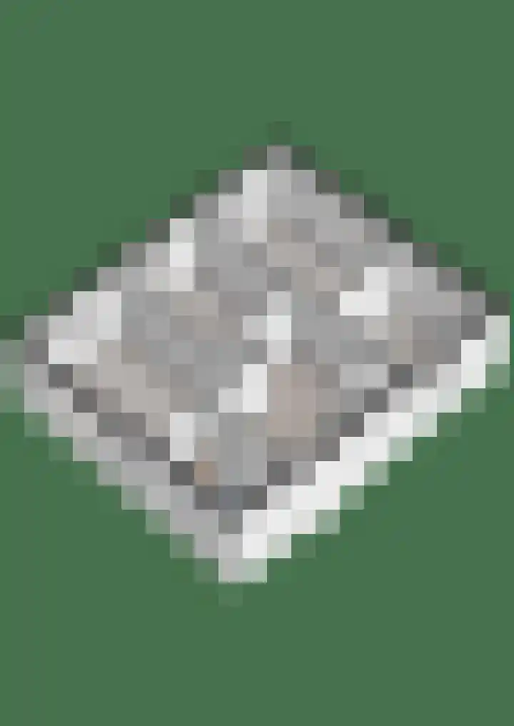 Dennenlaan 9 Havelte thumbnail 58