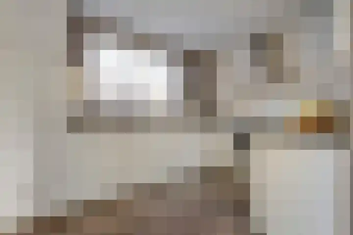 Dennenlaan 9 Havelte thumbnail 6