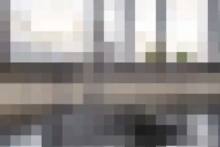 Dennenlaan 9 Havelte thumbnail 8