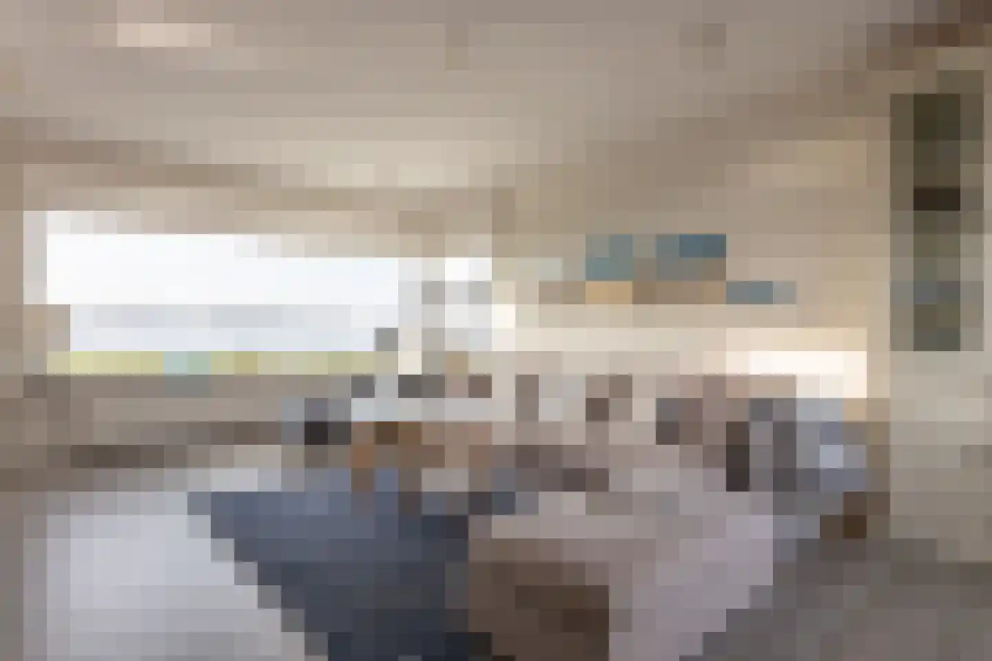 Dennenlaan 9 Kamperland thumbnail 10