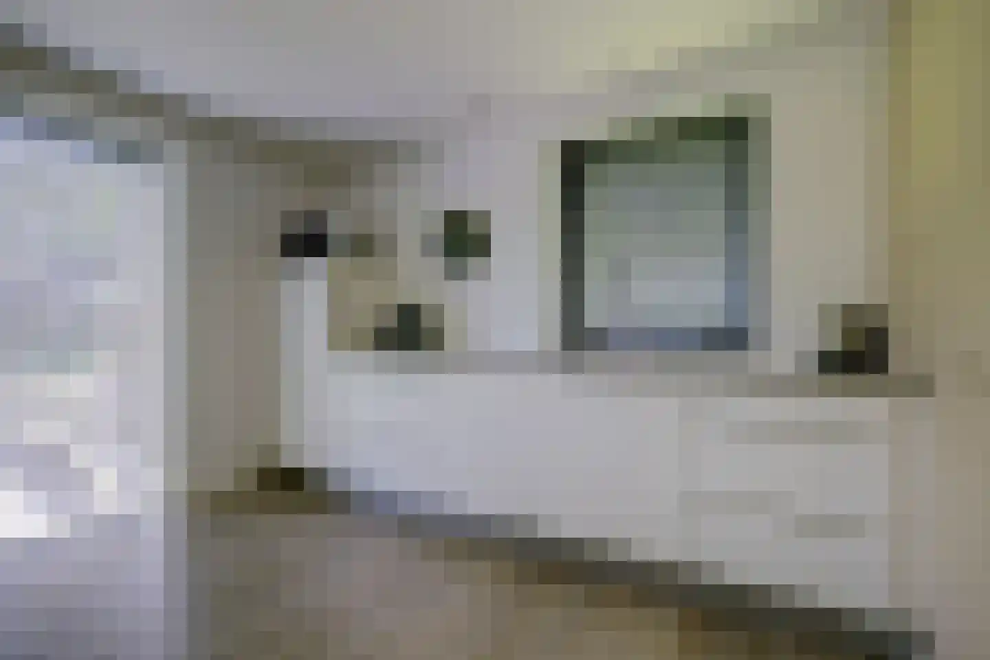 Dennenlaan 9 Kamperland thumbnail 13