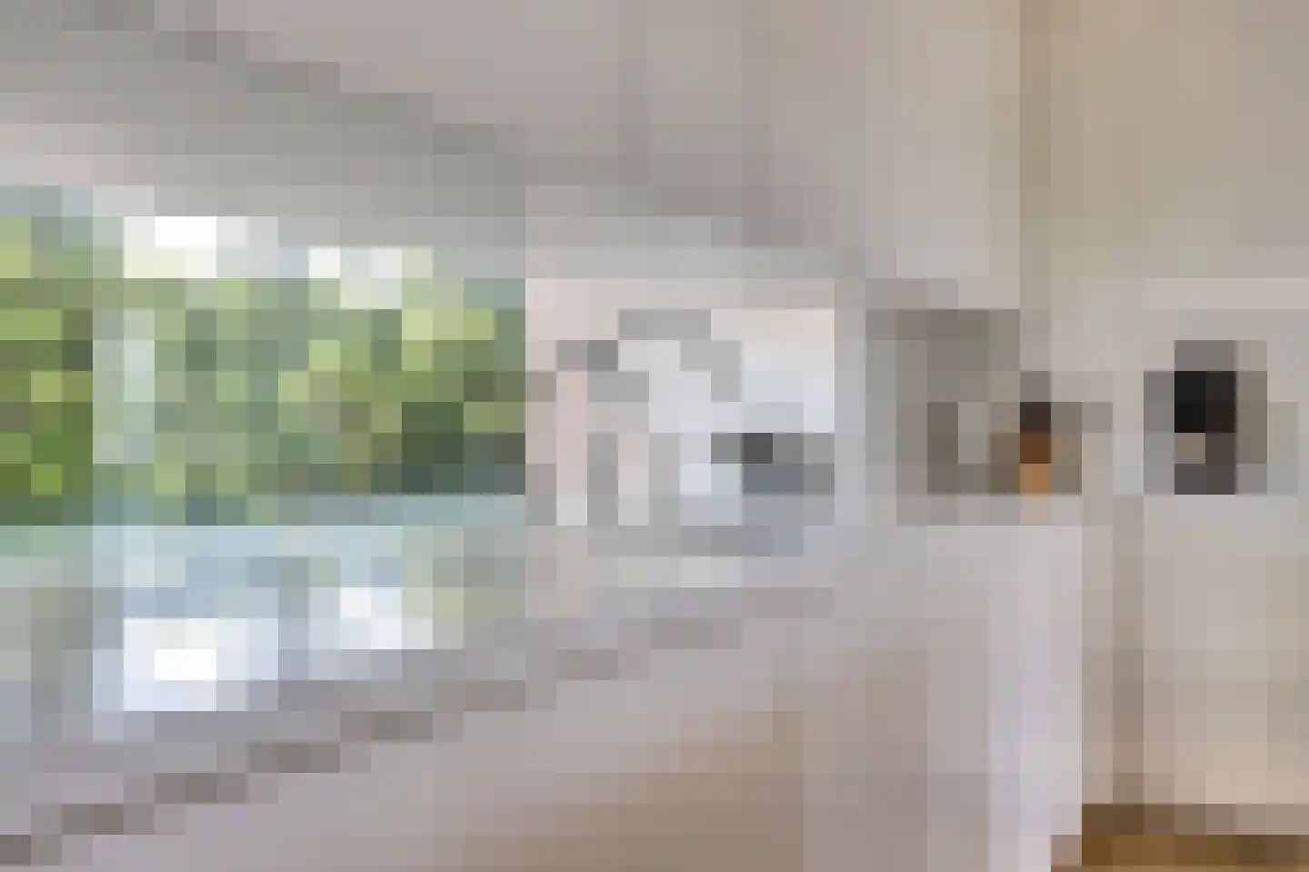 Dennenlaan 9 Kamperland thumbnail 14