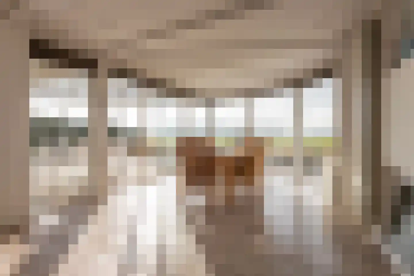 Dennenlaan 9 Kamperland thumbnail 18
