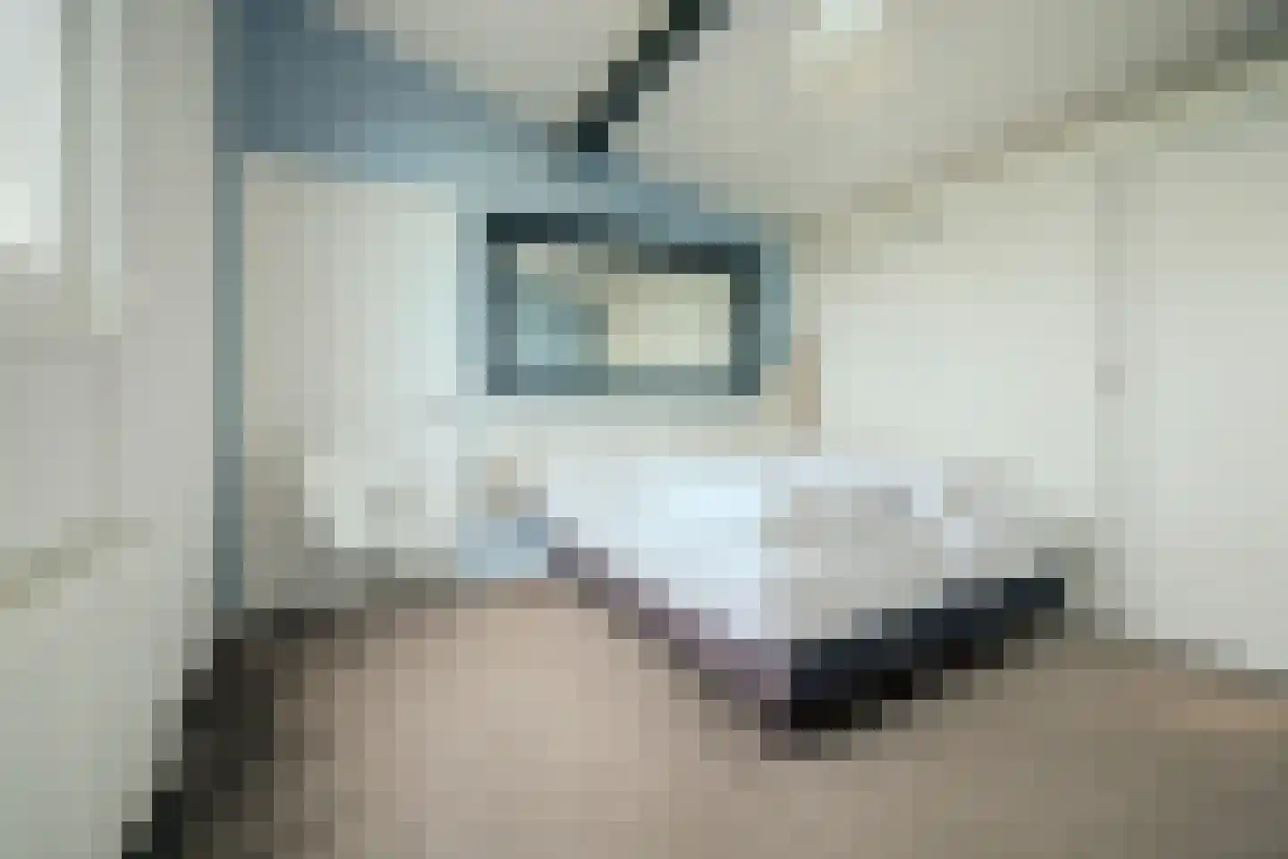 Dennenlaan 9 Kamperland thumbnail 20