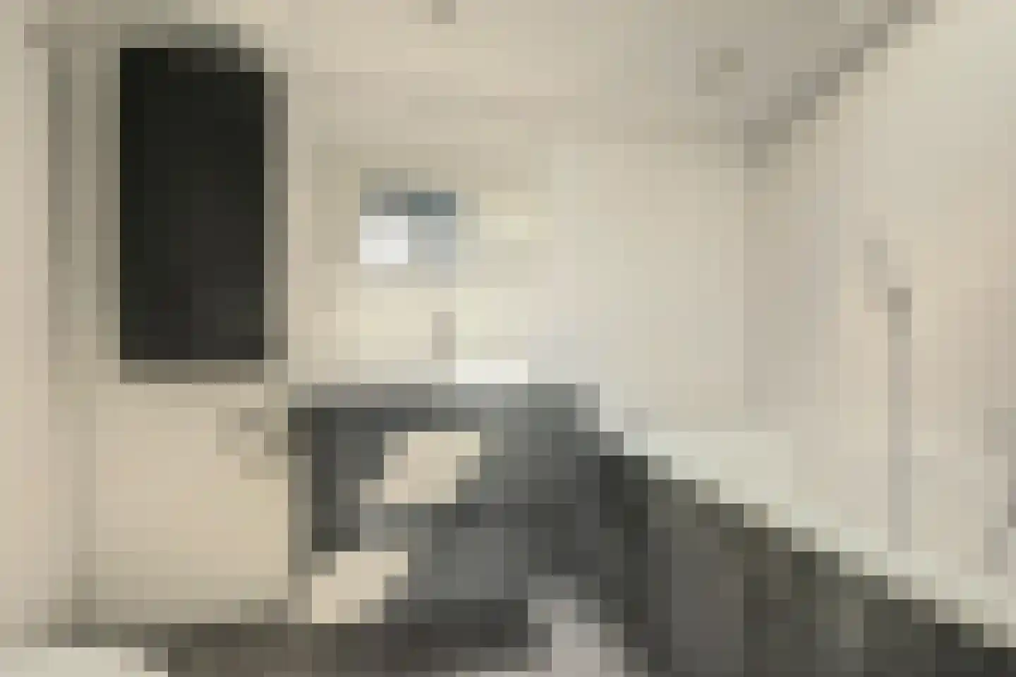 Dennenlaan 9 Kamperland thumbnail 22
