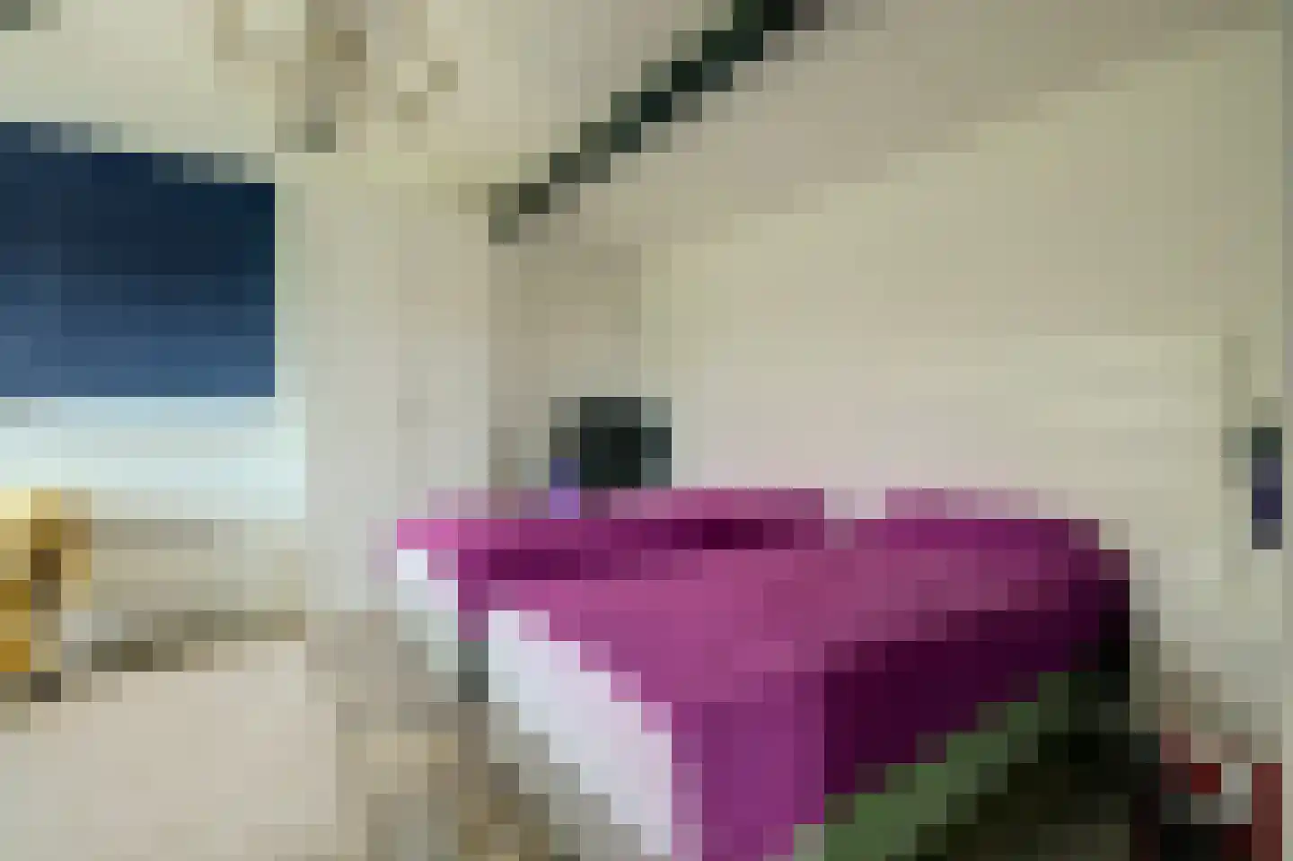 Dennenlaan 9 Kamperland thumbnail 23