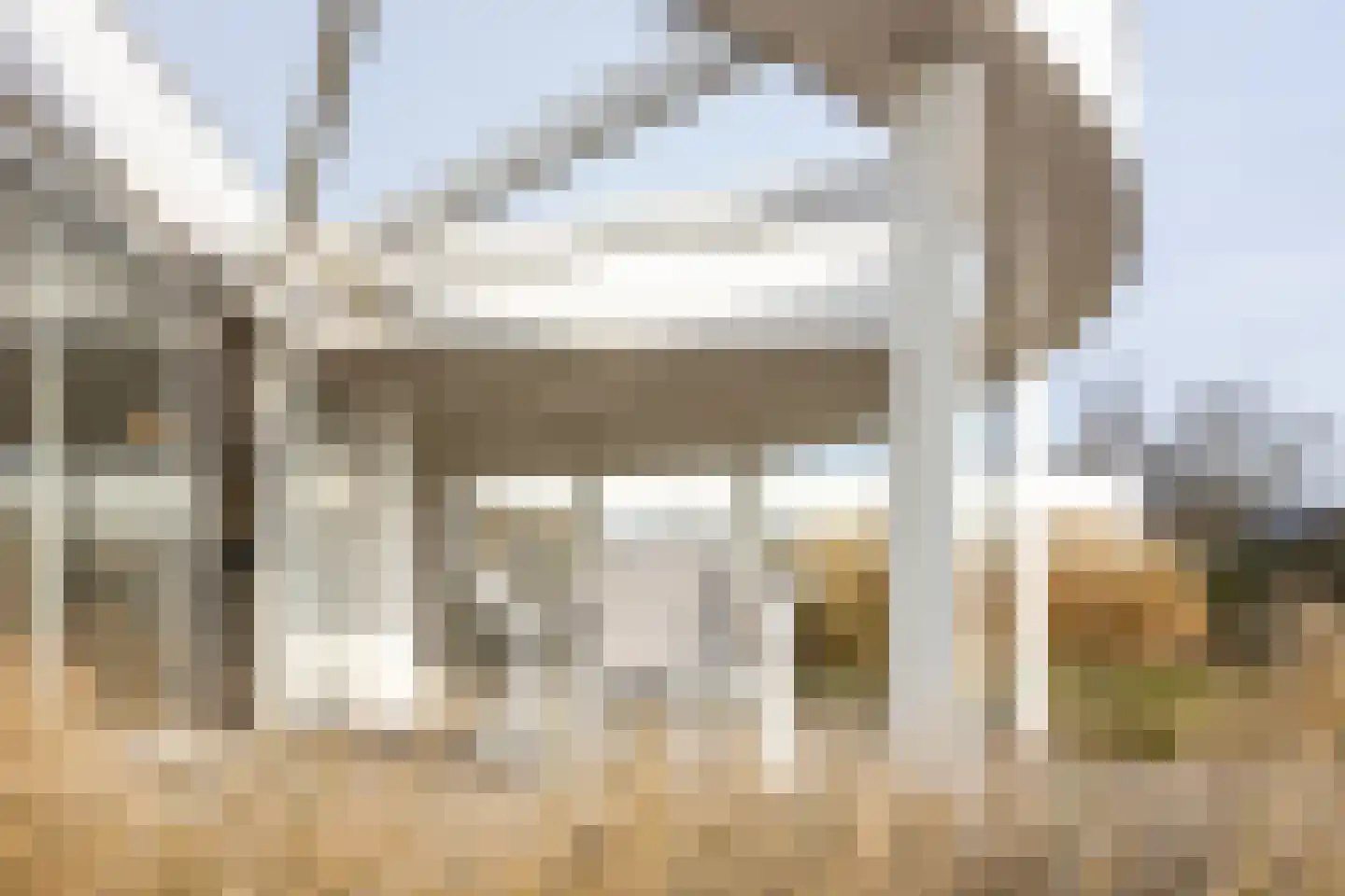Dennenlaan 9 Kamperland thumbnail 25