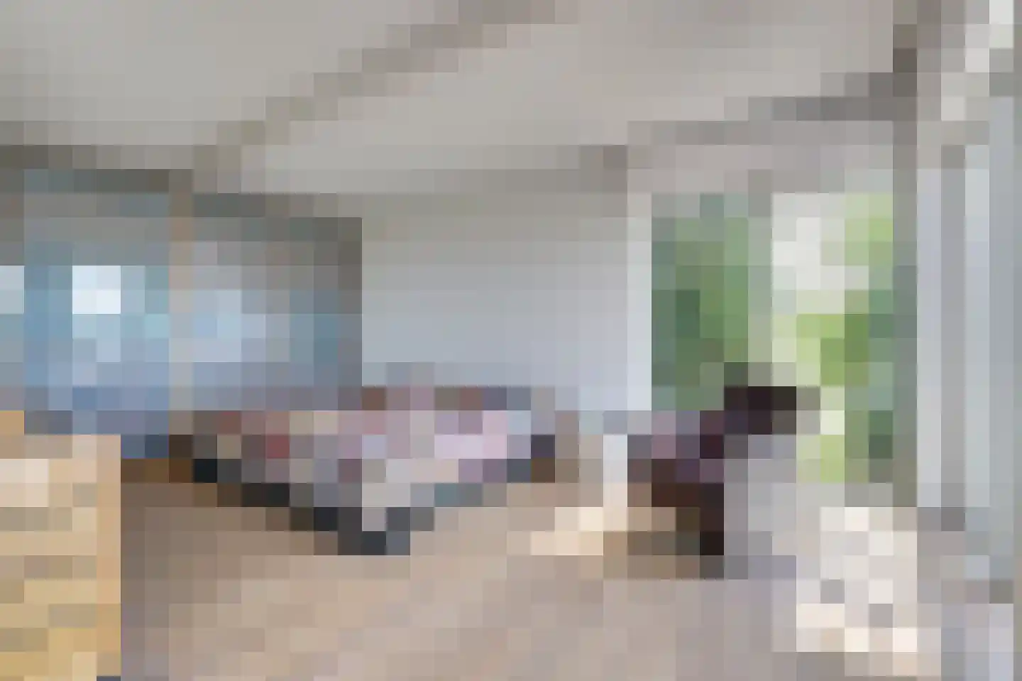 Dennenlaan 9 Kamperland thumbnail 25