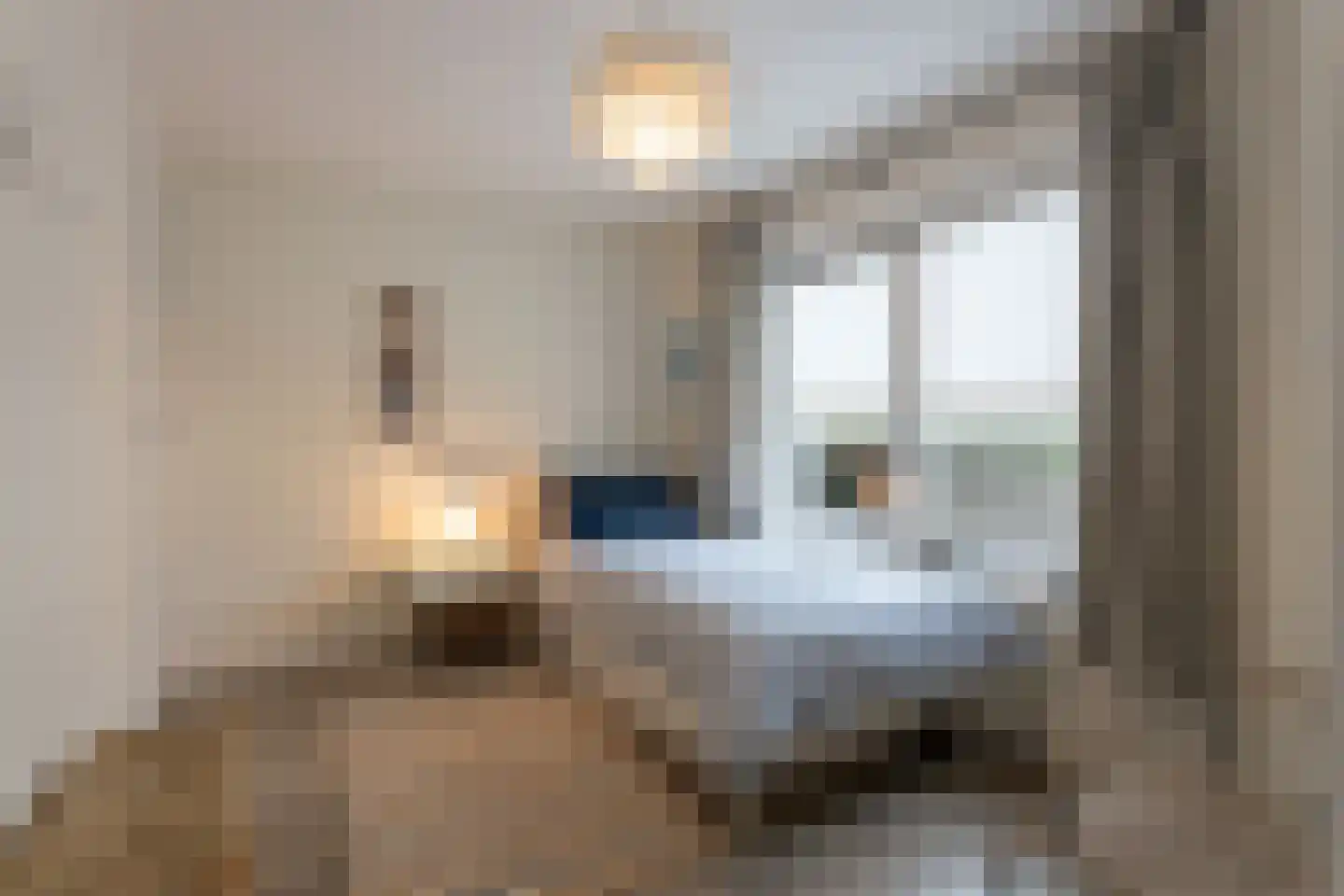 Dennenlaan 9 Kamperland thumbnail 30
