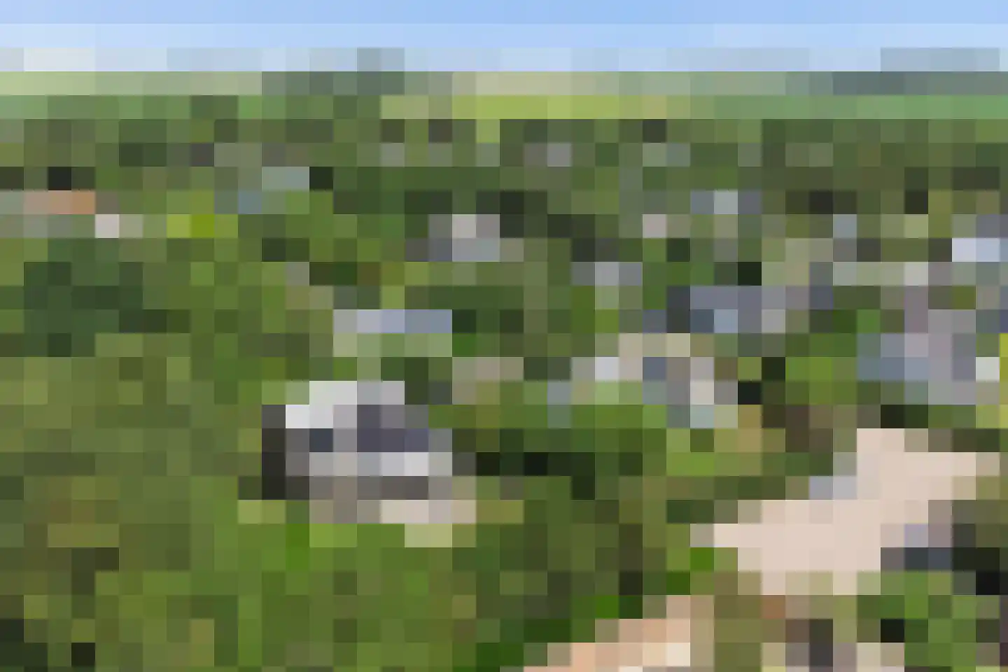 Dennenlaan 9 Kamperland thumbnail 34