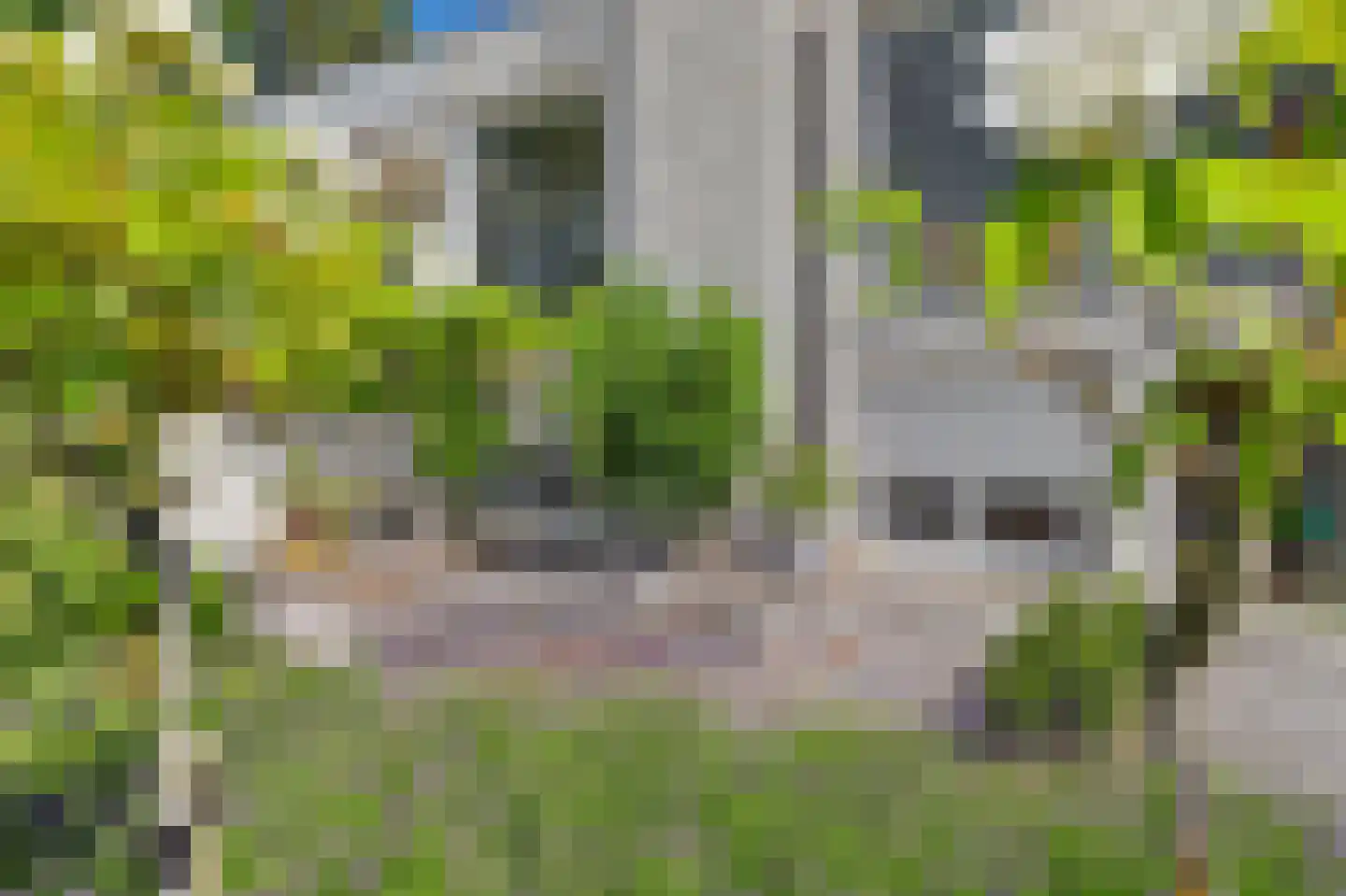 Dennenlaan 9 Kamperland thumbnail 35