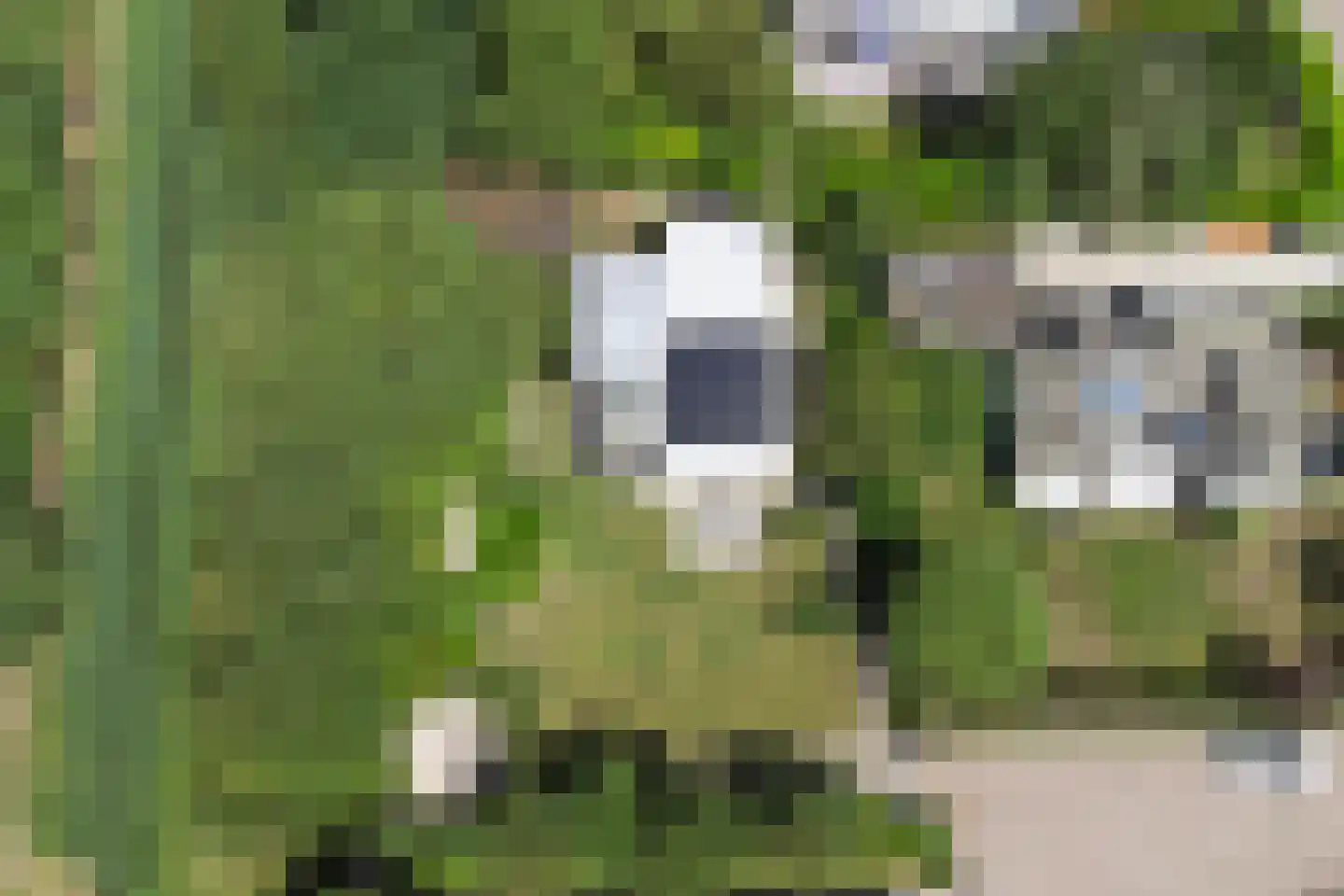 Dennenlaan 9 Kamperland thumbnail 35