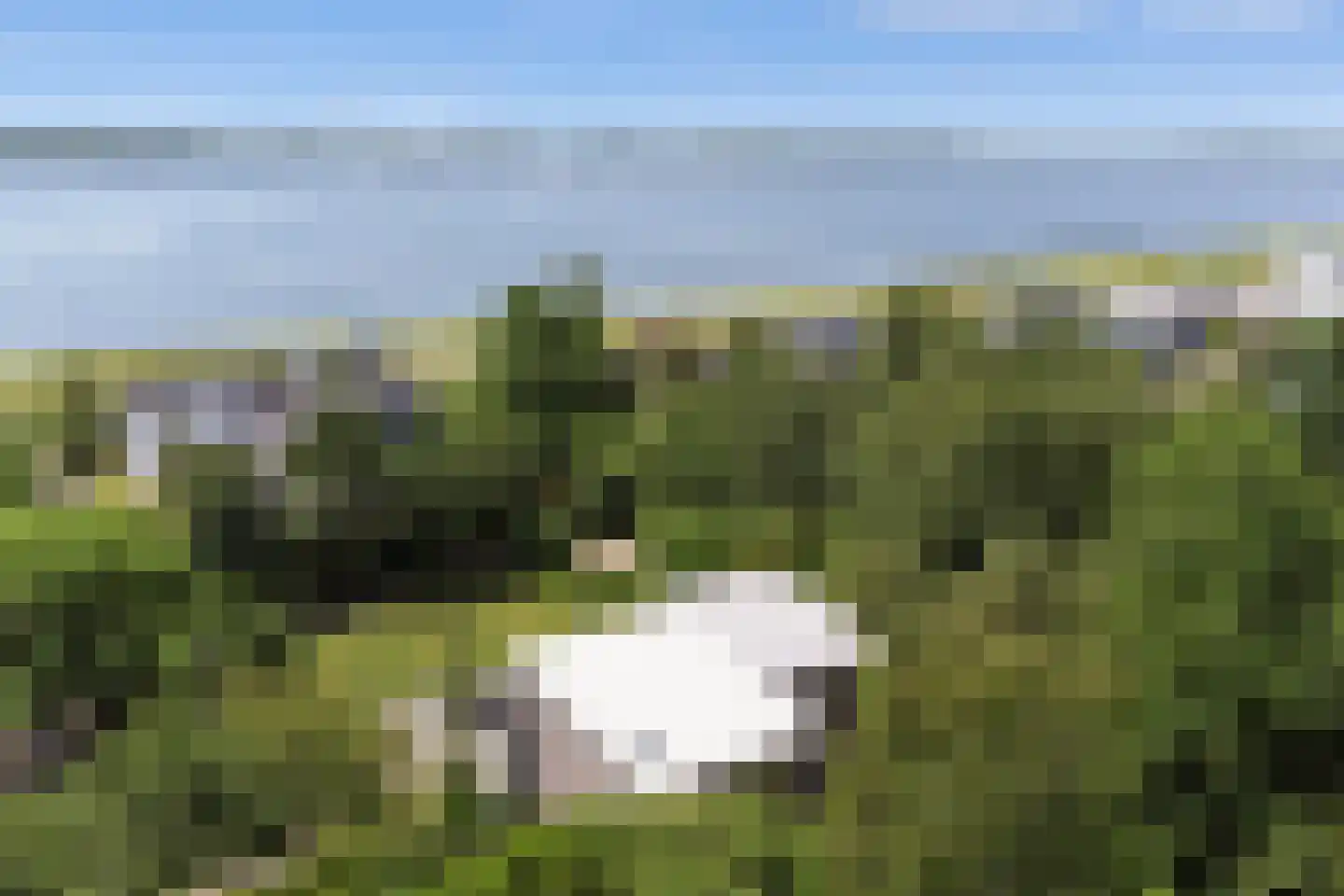 Dennenlaan 9 Kamperland thumbnail 37