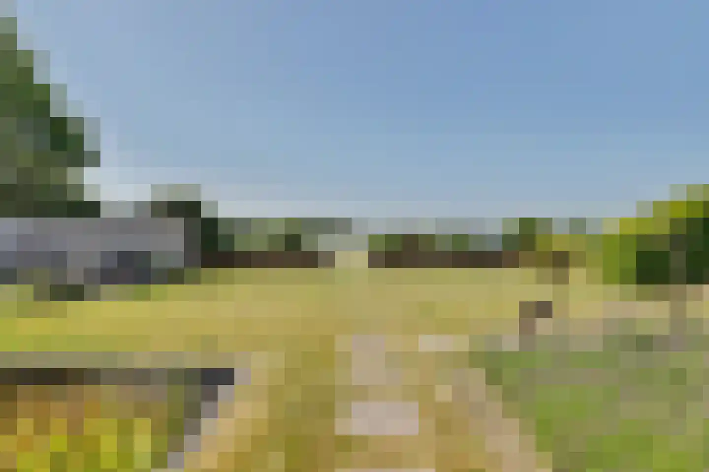 Dennenlaan 9 Kamperland thumbnail 38