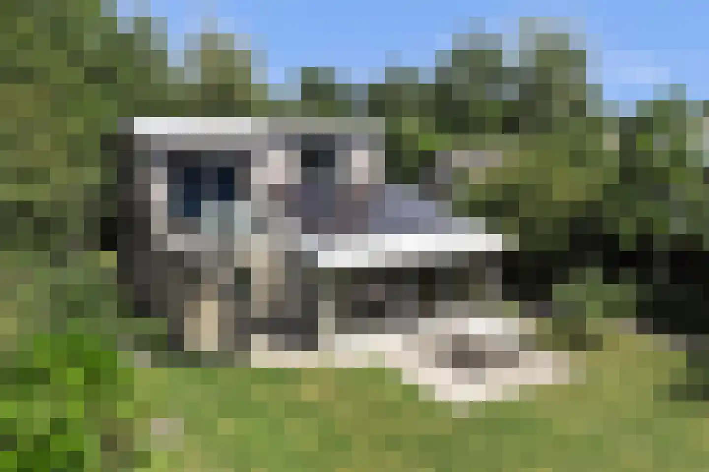 Dennenlaan 9 Kamperland thumbnail 38