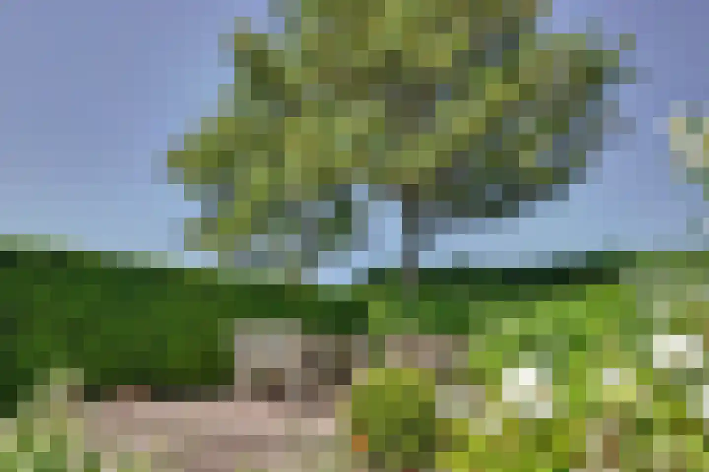 Dennenlaan 9 Kamperland thumbnail 40