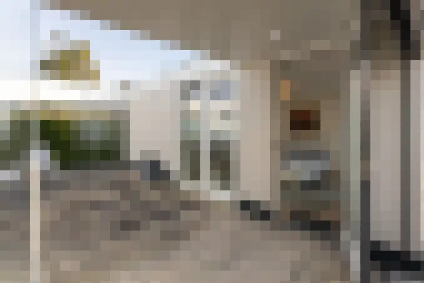 Dennenlaan 9 Kamperland thumbnail 42