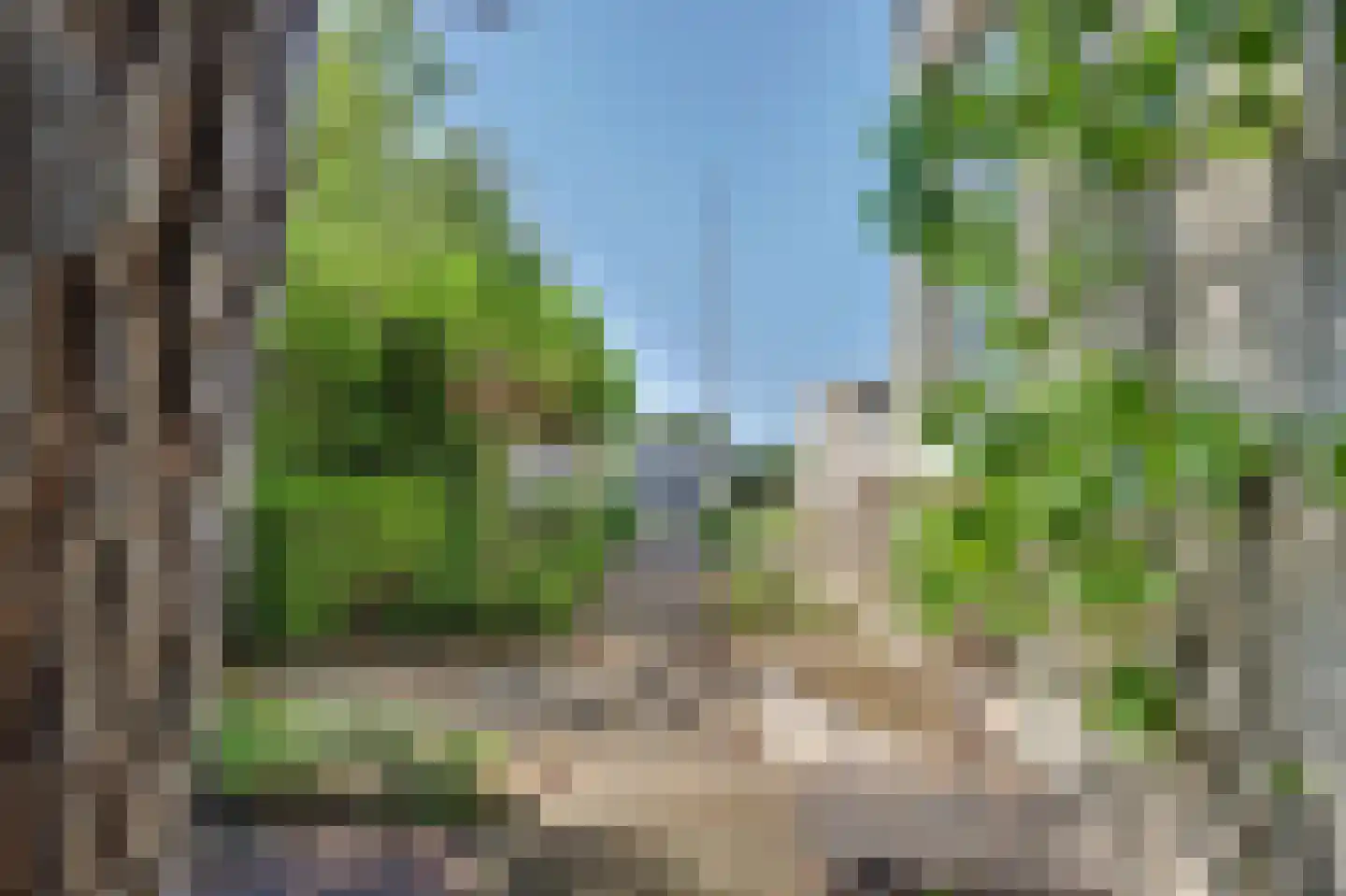 Dennenlaan 9 Kamperland thumbnail 43