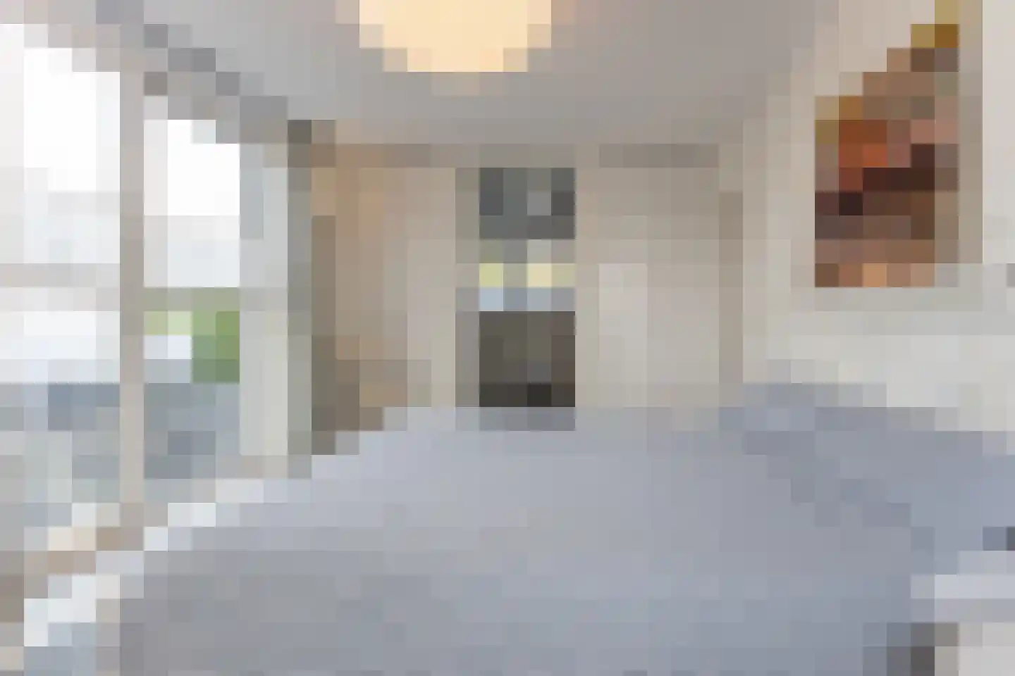Dennenlaan 9 Kamperland thumbnail 45