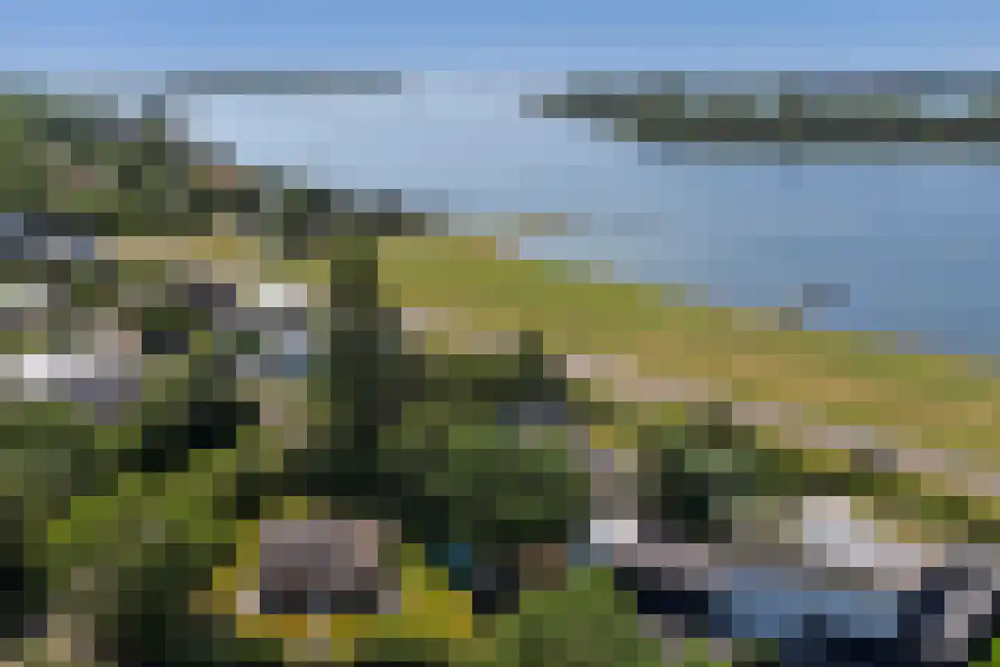 Dennenlaan 9 Kamperland thumbnail 46