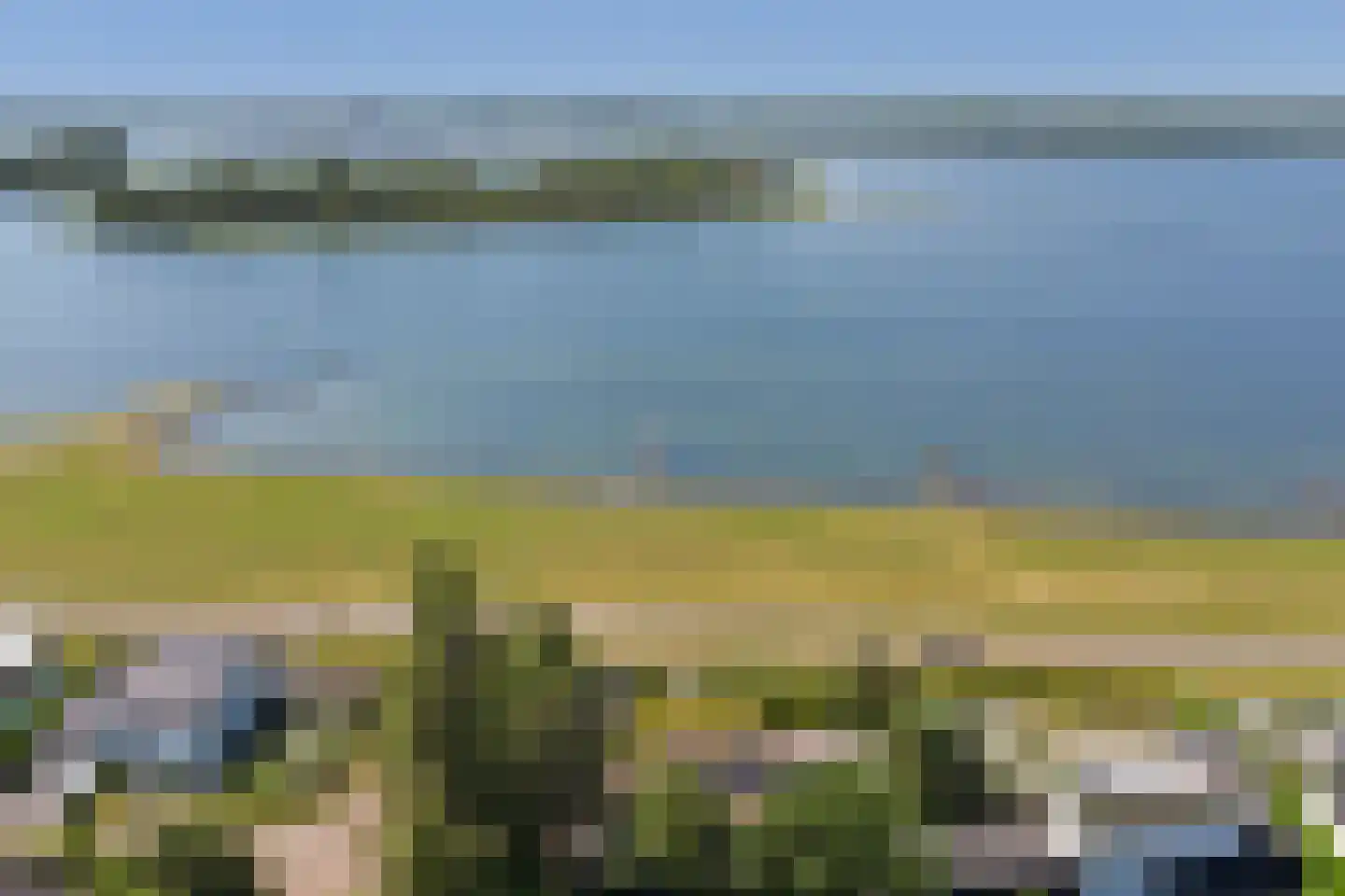Dennenlaan 9 Kamperland thumbnail 47