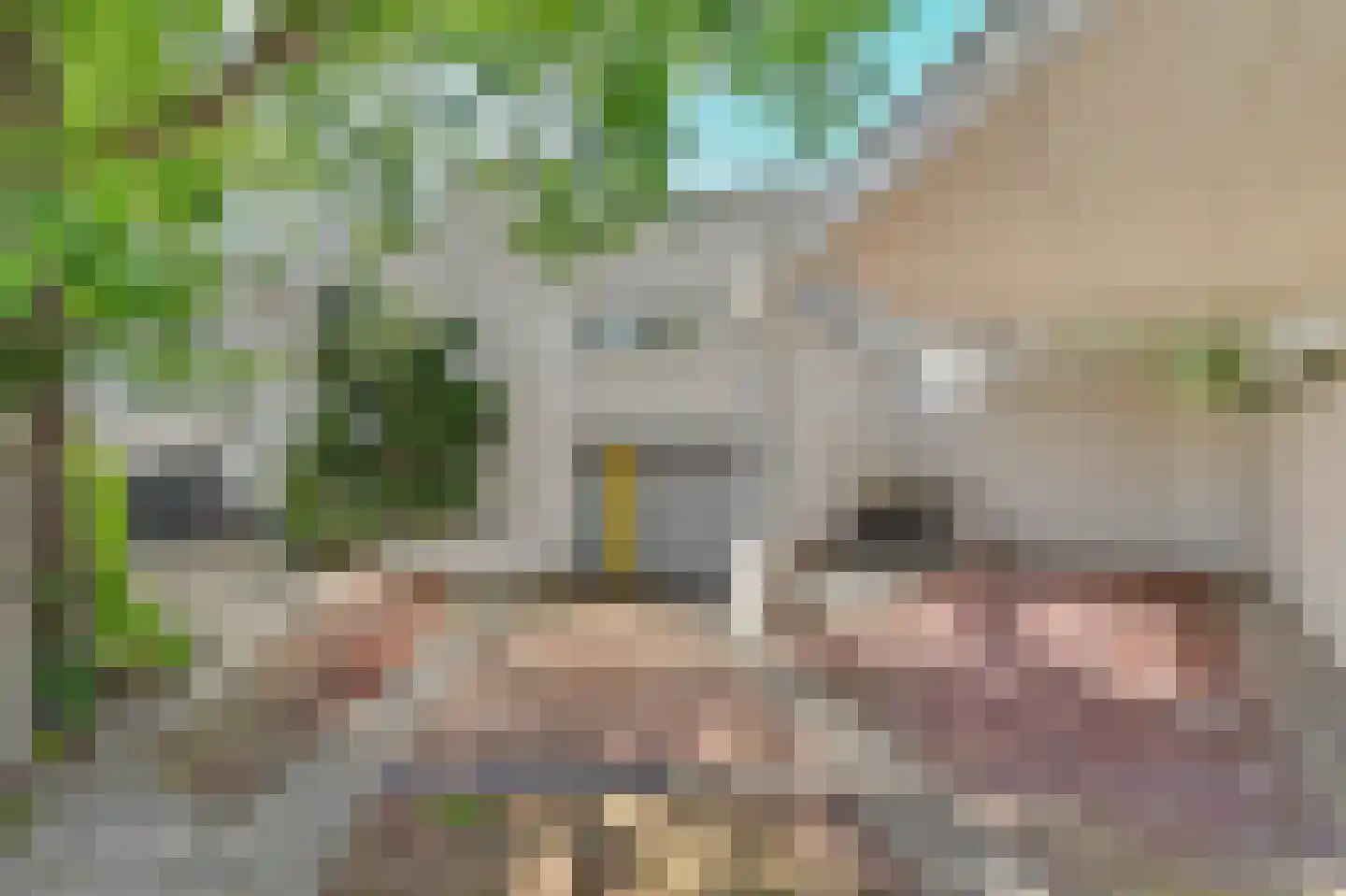 Dennenlaan 9 Kamperland thumbnail 5