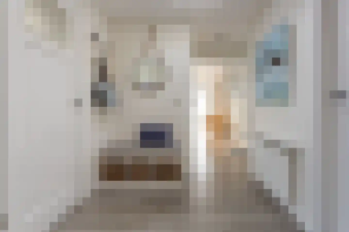 Dennenlaan 9 Kamperland thumbnail 7