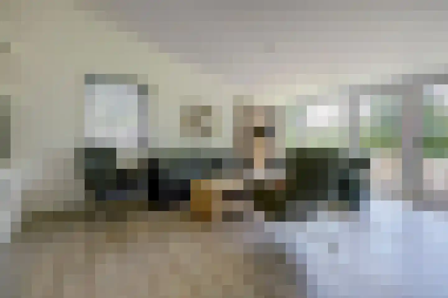 Dennenlaan 9 Kamperland thumbnail 8