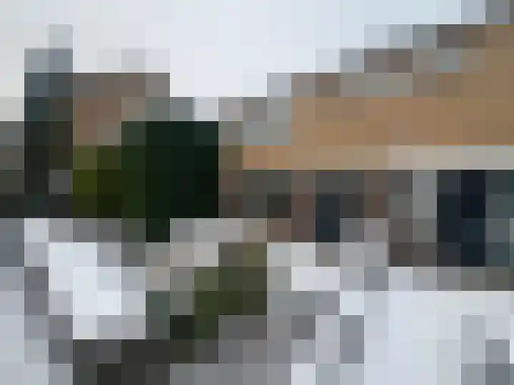 Dennenlaan 91 Rijssen foto 3