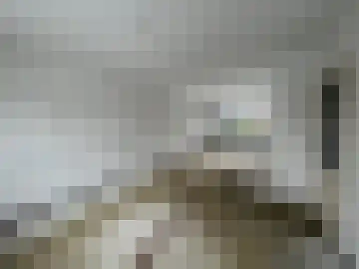 Dennenlaan 91 Rijssen thumbnail 4
