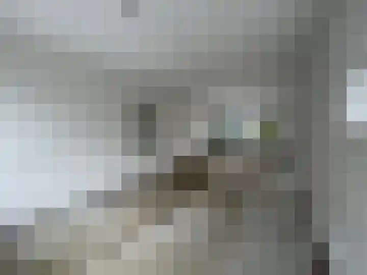 Dennenlaan 91 Rijssen thumbnail 5