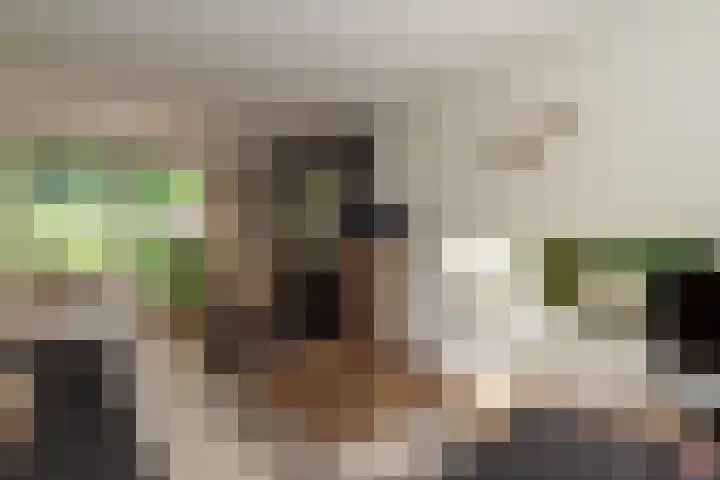 Dennenlaan 94 Rijssen thumbnail 10