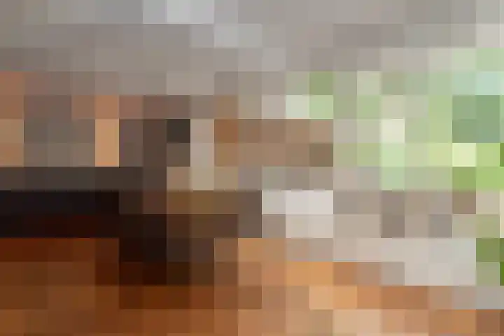 Dennenlaan 94 Rijssen thumbnail 12