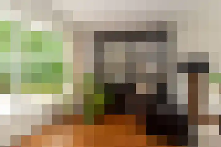 Dennenlaan 94 Rijssen thumbnail 14