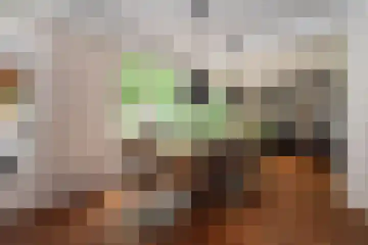 Dennenlaan 94 Rijssen thumbnail 16
