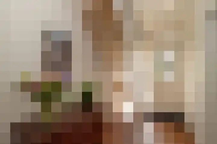 Dennenlaan 94 Rijssen thumbnail 19