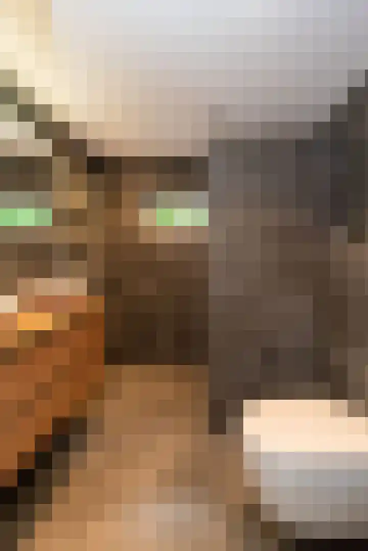 Dennenlaan 94 Rijssen thumbnail 24